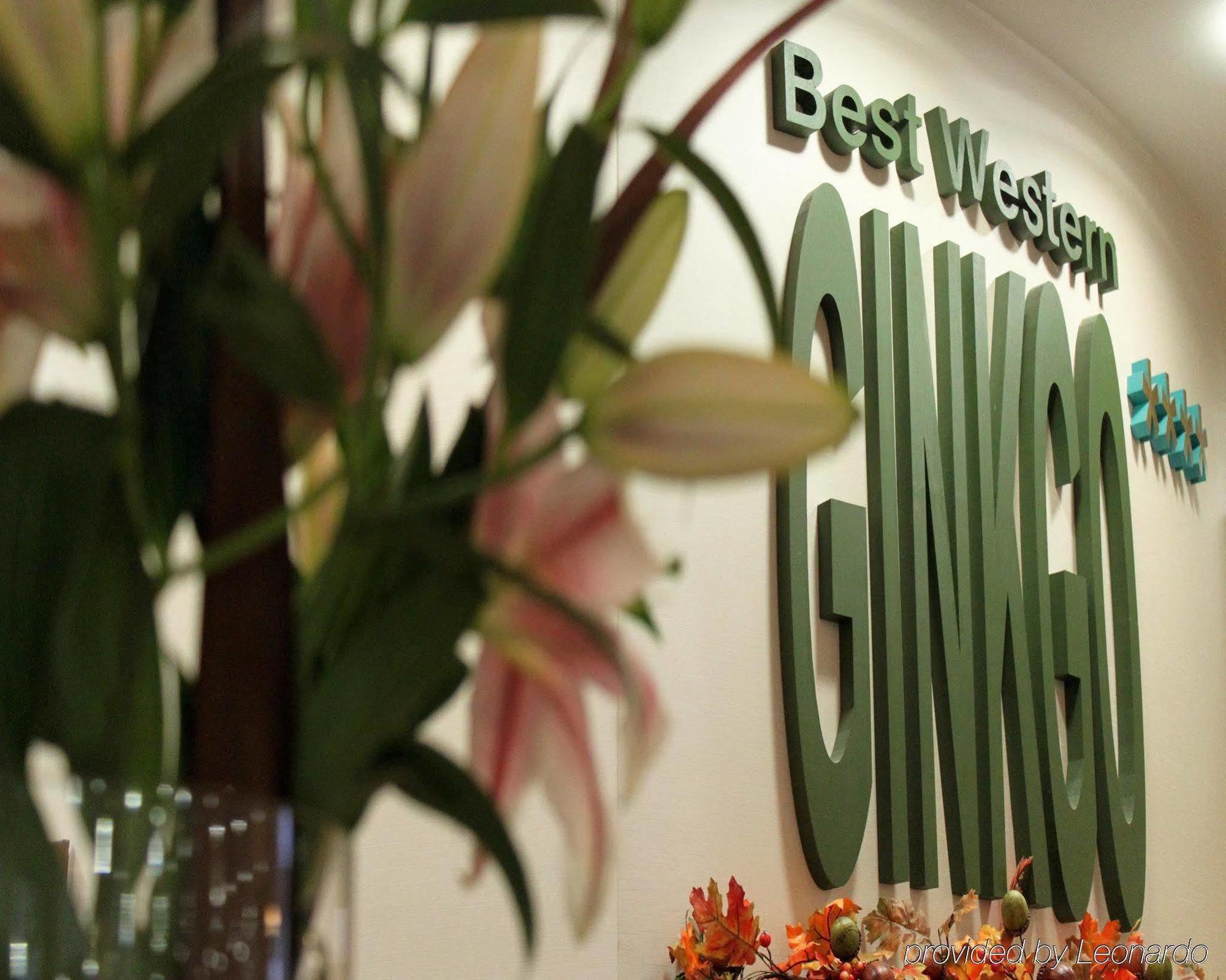 Hódmezővásárhely Hotel Ginkgo מראה חיצוני תמונה